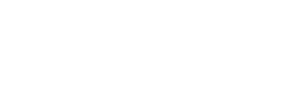 Dizynit